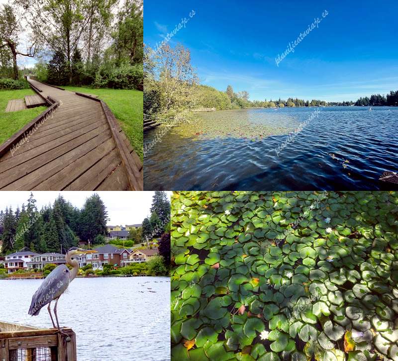 Martha Lake Park de Lynnwood | Horario, Mapa y entradas