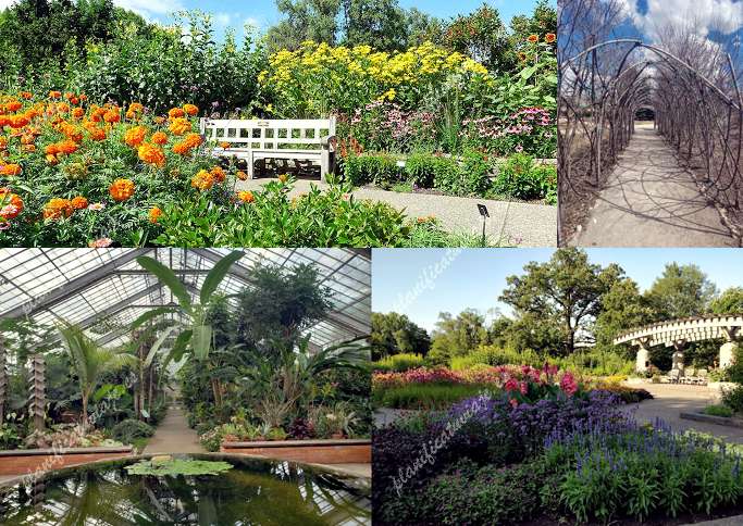 Matthaei Botanical Gardens & Nichols Arboretum de Ann Arbor | Horario, Mapa y entradas