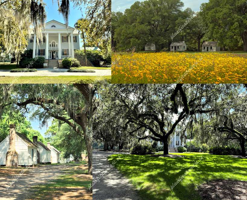 McLeod Plantation Historic Site de Charleston | Horario, Mapa y entradas