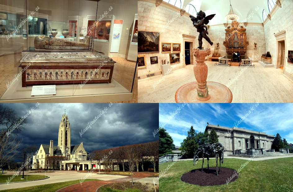 Memorial Art Gallery de Rochester | Horario, Mapa y entradas