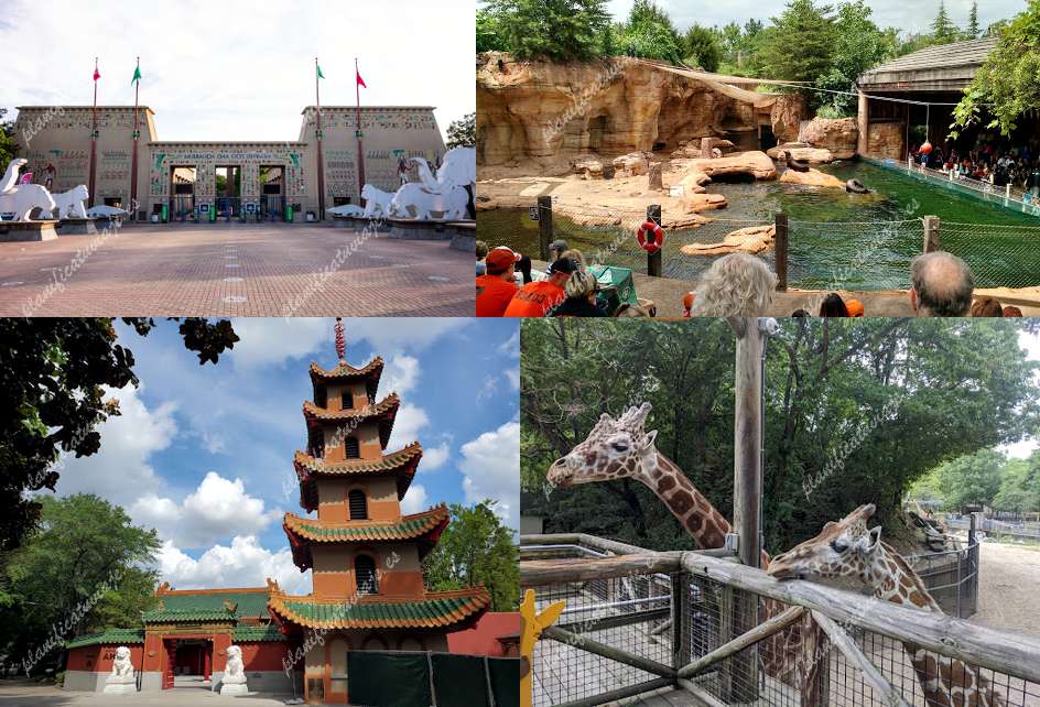 Memphis Zoo de Memphis | Horario, Mapa y entradas
