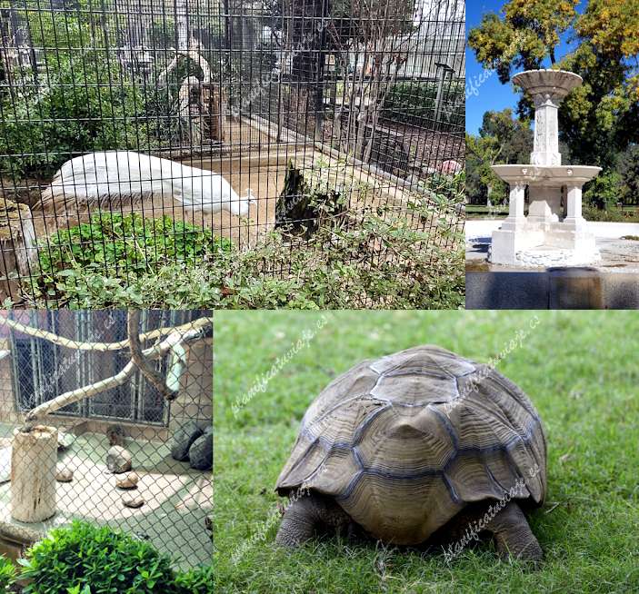 Merced's Applegate Park Zoo