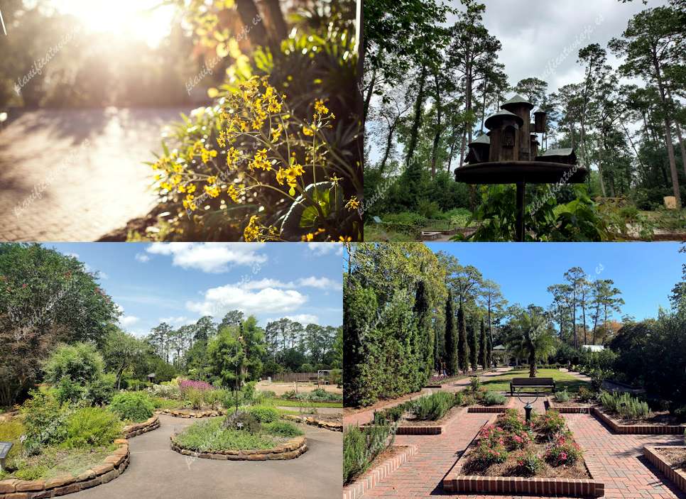 Mercer Botanic Gardens de Humble | Horario, Mapa y entradas