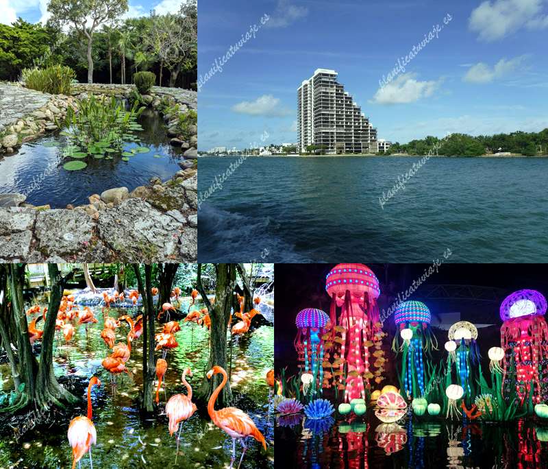 Miami Friends of the Japanese Garden de Miami Beach | Horario, Mapa y entradas