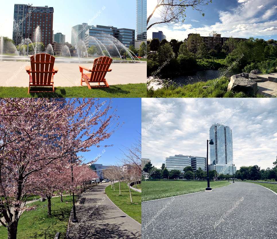 Mill River Park de Stamford | Horario, Mapa y entradas