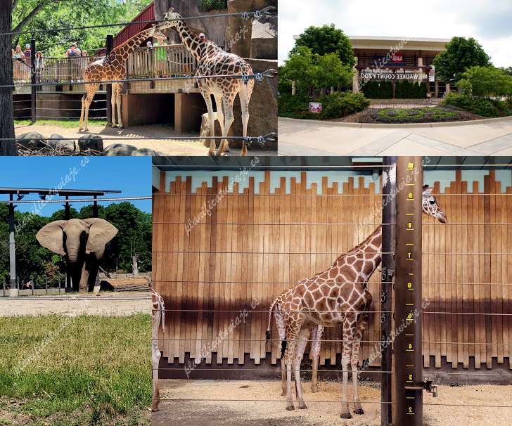 Milwaukee County Zoo de Milwaukee | Horario, Mapa y entradas