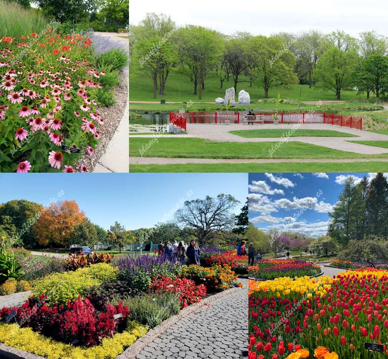 Minnesota Landscape Arboretum - Advance Reservations/Tickets Required de Chaska | Horario, Mapa y entradas