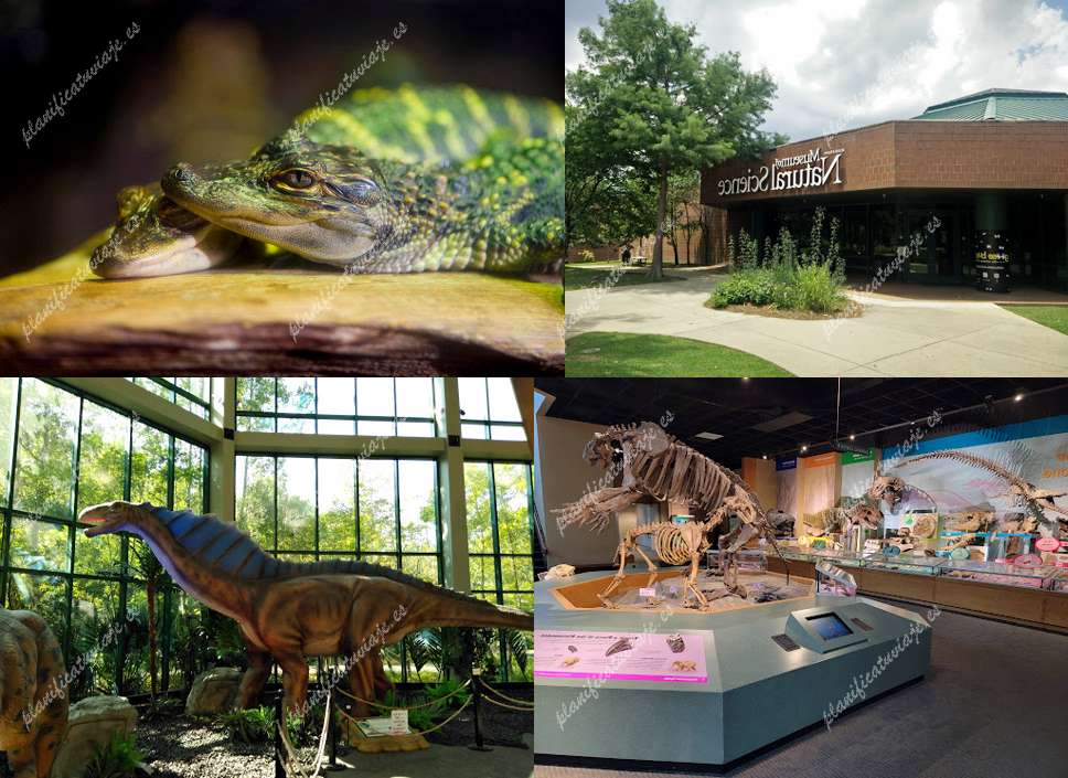 Mississippi Museum of Natural Science de Jackson | Horario, Mapa y entradas