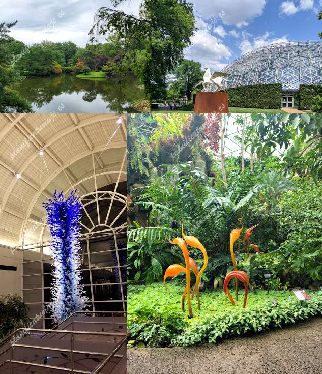 Missouri Botanical Garden de St. Louis | Horario, Mapa y entradas