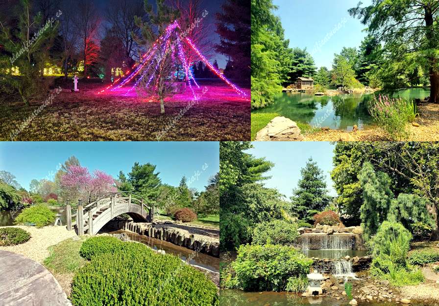 Mizumoto Japanese Stroll Garden de Springfield | Horario, Mapa y entradas