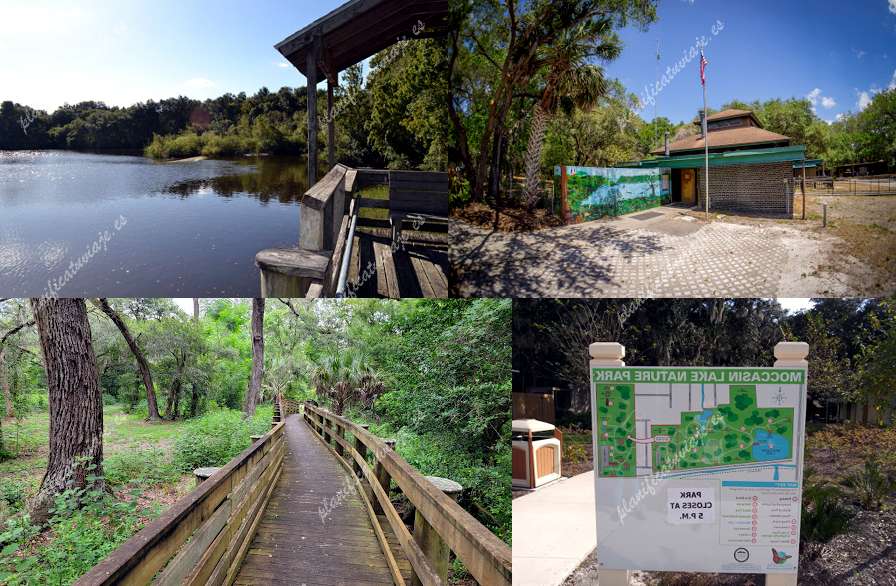 Moccasin Lake Nature Park de Clearwater | Horario, Mapa y entradas