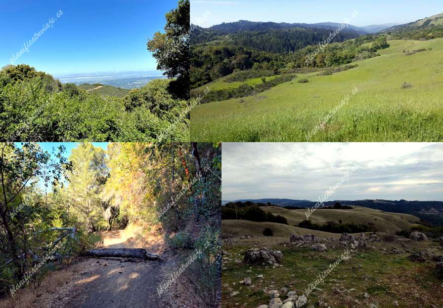 Monte Bello Preserver de Los Altos | Horario, Mapa y entradas