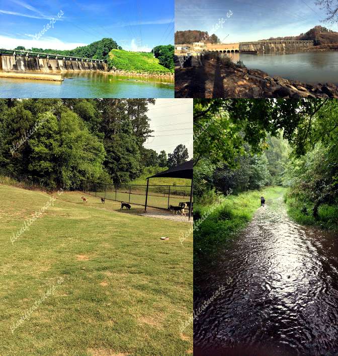 Morgan Falls River Park / Dog Park de Sandy Springs | Horario, Mapa y entradas