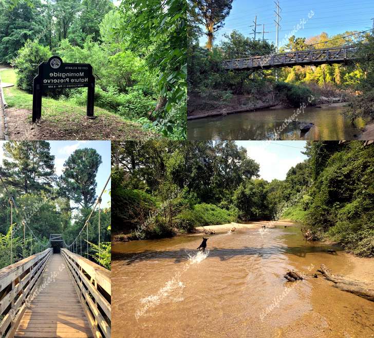 Morningside Nature Preserve de Atlanta | Horario, Mapa y entradas