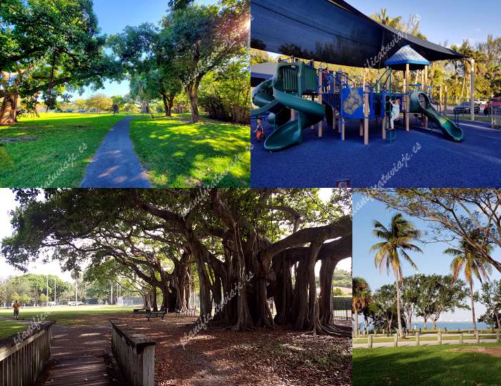 Morningside Park de Miami | Horario, Mapa y entradas