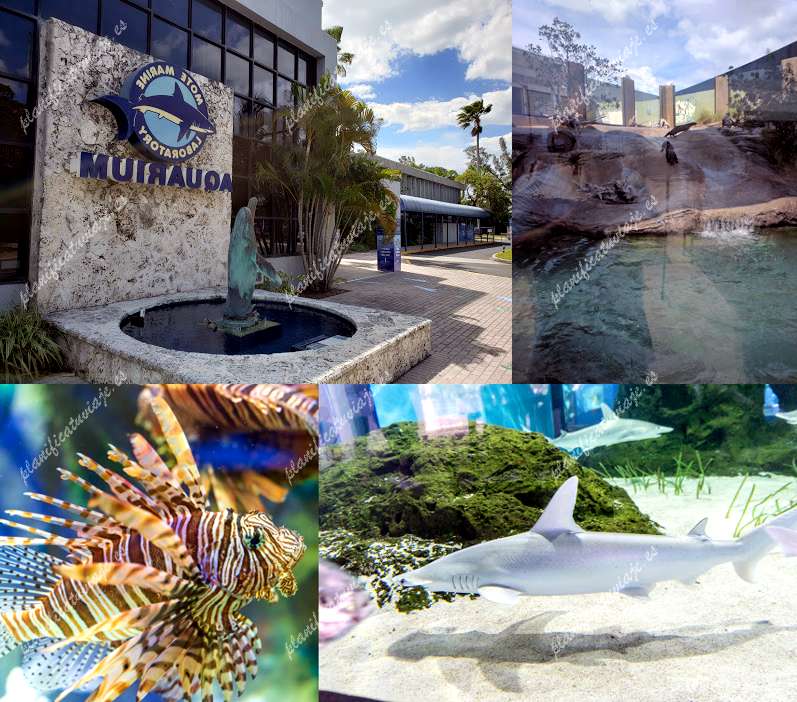 Mote Marine Laboratory & Aquarium de Sarasota | Horario, Mapa y entradas