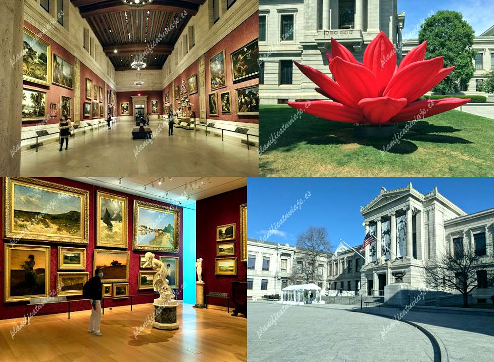 Museum of Fine Arts