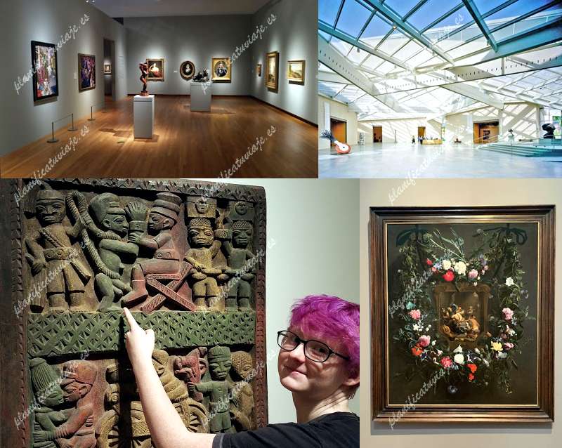 Nasher Museum of Art de Durham | Horario, Mapa y entradas