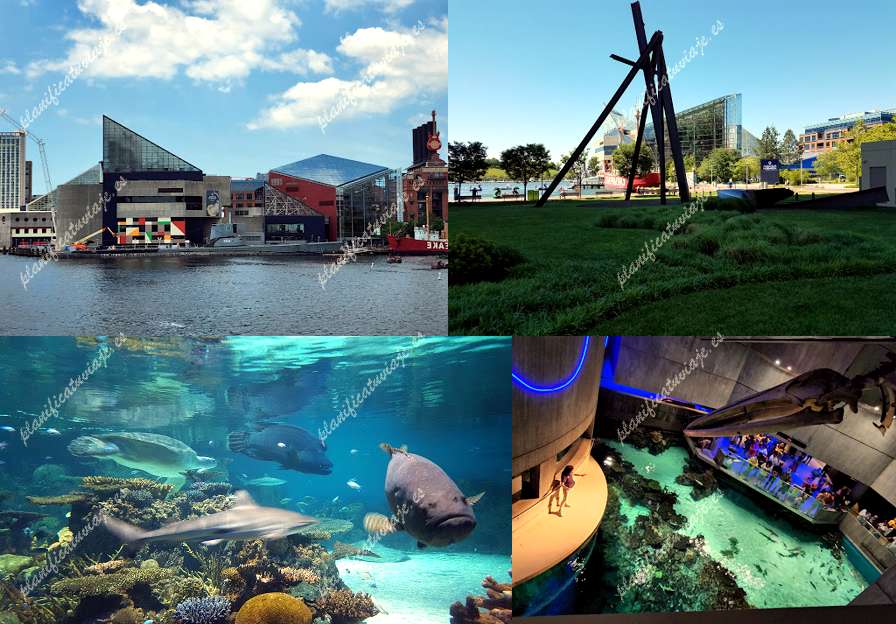 National Aquarium de Baltimore | Horario, Mapa y entradas