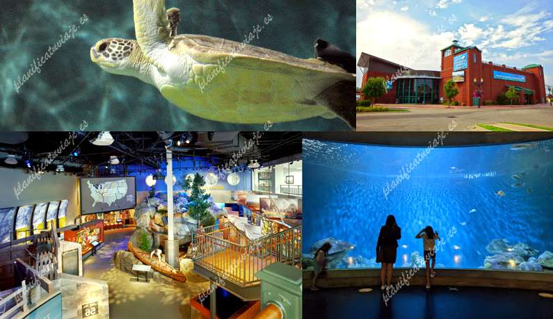 National Mississippi River Museum & Aquarium de Dubuque | Horario, Mapa y entradas