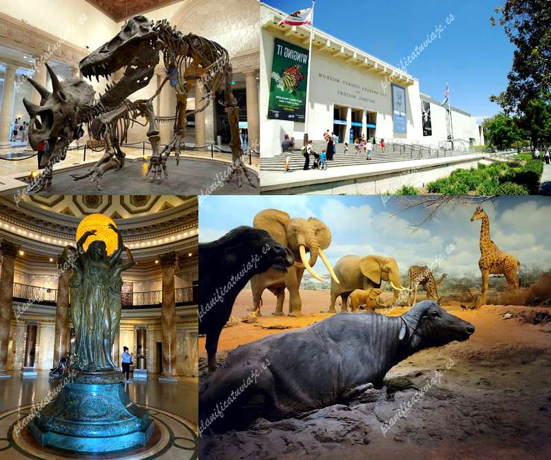 Natural History Museum of Los Angeles County de Los Angeles | Horario, Mapa y entradas