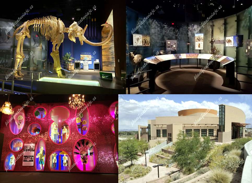 Nevada State Museum, Las Vegas de Las Vegas | Horario, Mapa y entradas