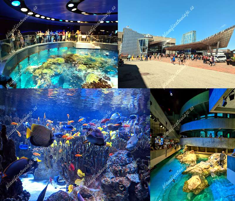 New England Aquarium de Boston | Horario, Mapa y entradas