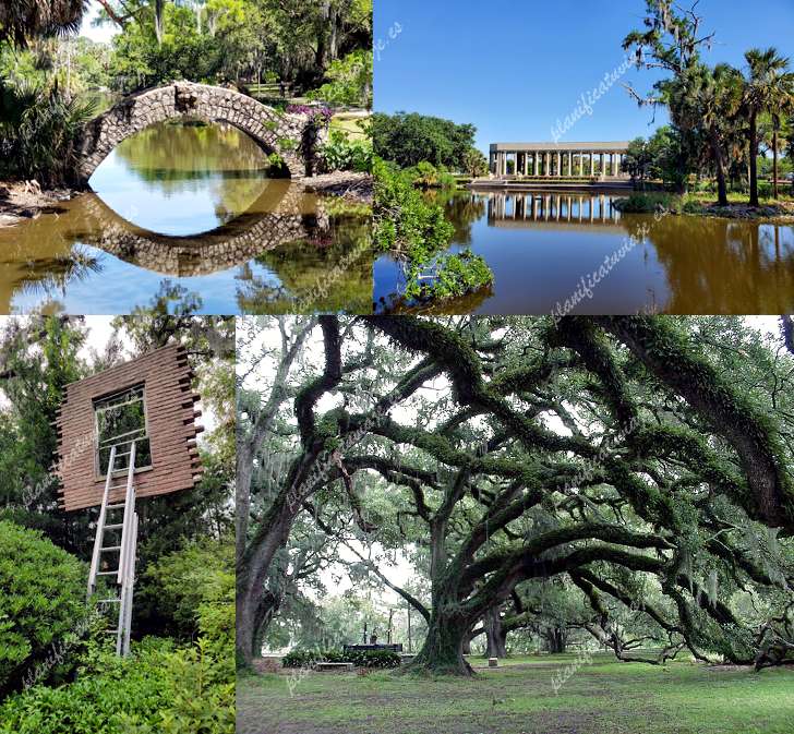 New Orleans City Park de New Orleans | Horario, Mapa y entradas