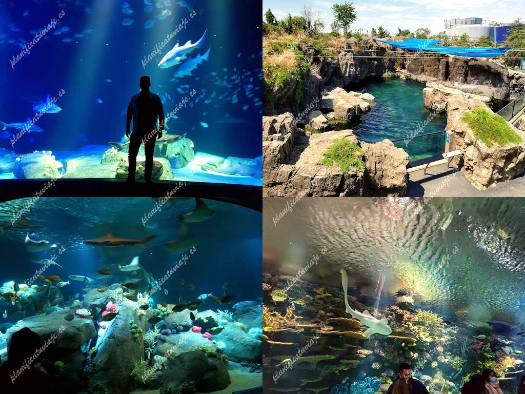 New York Aquarium de Brooklyn | Horario, Mapa y entradas