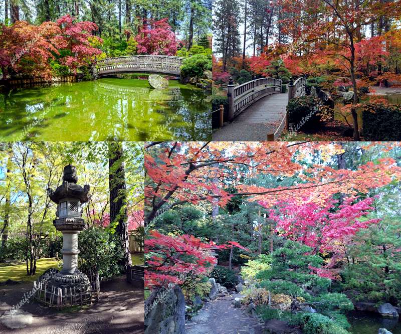 Nishinomiya Tsakawa Japanese Garden de Spokane | Horario, Mapa y entradas