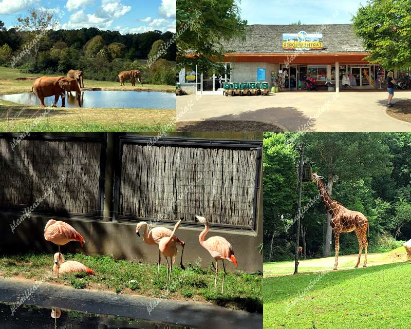 North Carolina Zoo de Asheboro | Horario, Mapa y entradas