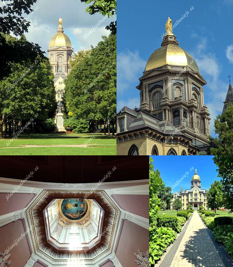 Notre Dame Golden Dome de Notre Dame | Horario, Mapa y entradas
