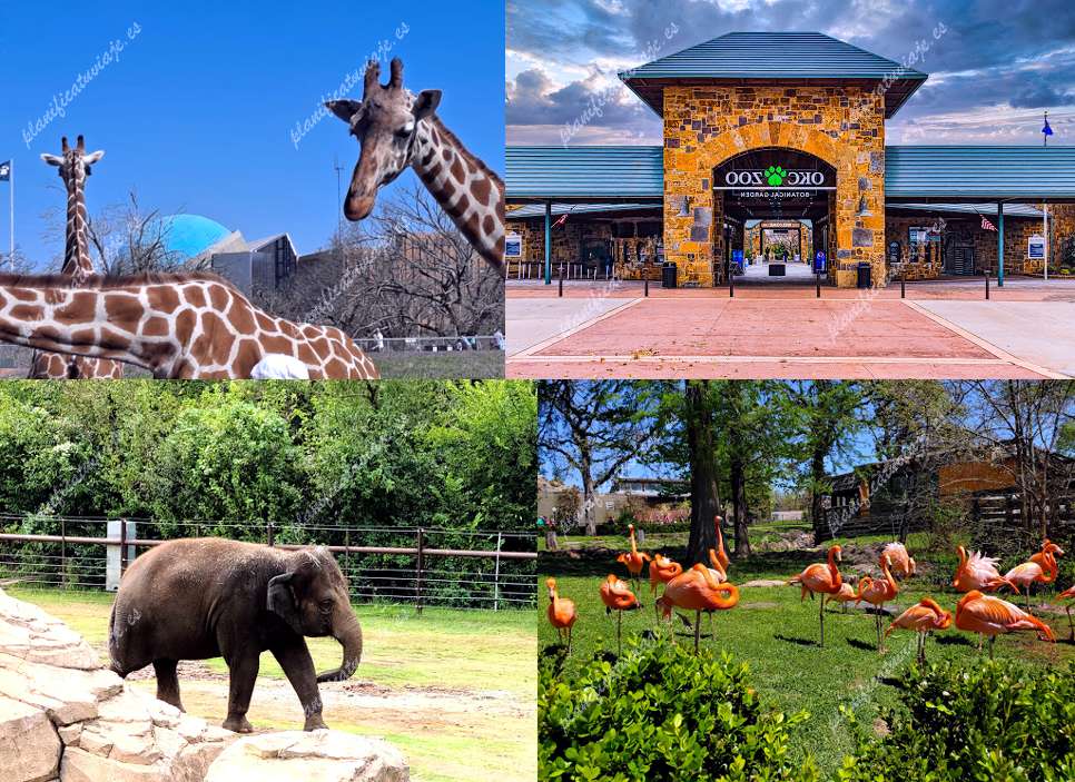Oklahoma City Zoo de Oklahoma City | Horario, Mapa y entradas