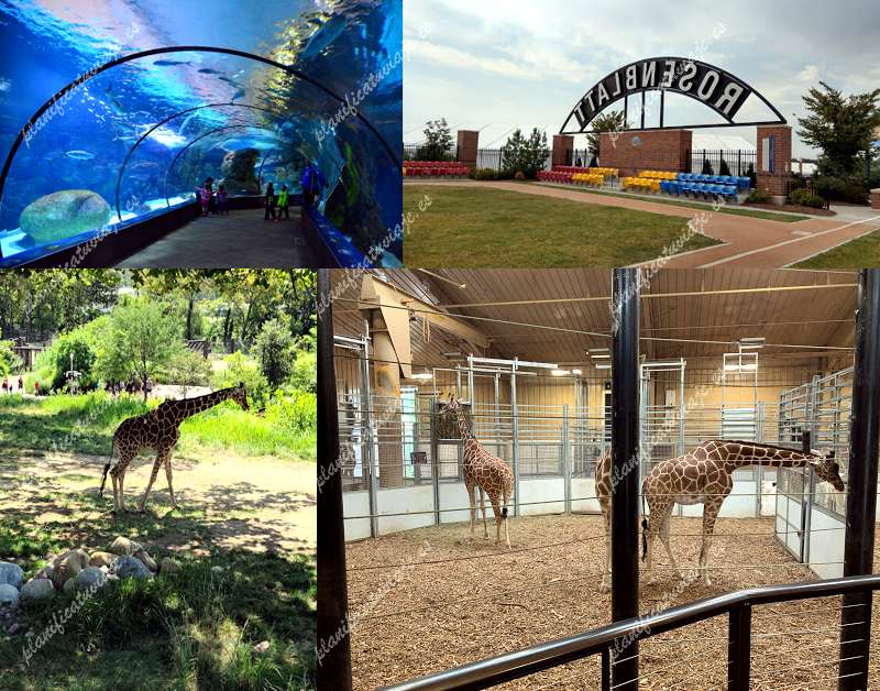 Omaha's Henry Doorly Zoo and Aquarium de Omaha | Horario, Mapa y entradas