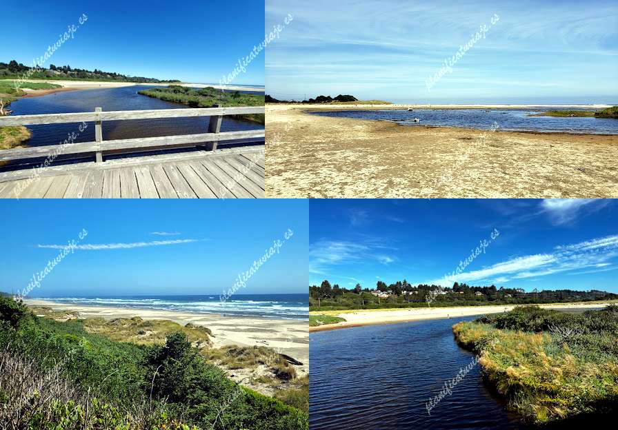 Ona Beach de Newport | Horario, Mapa y entradas