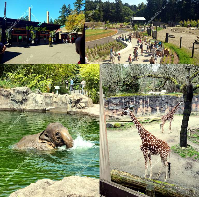 Oregon Zoo de Portland | Horario, Mapa y entradas