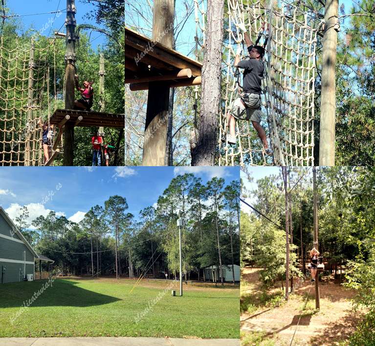 Orlando Tree Trek Adventure Park Zip Line de Kissimmee | Horario, Mapa y entradas