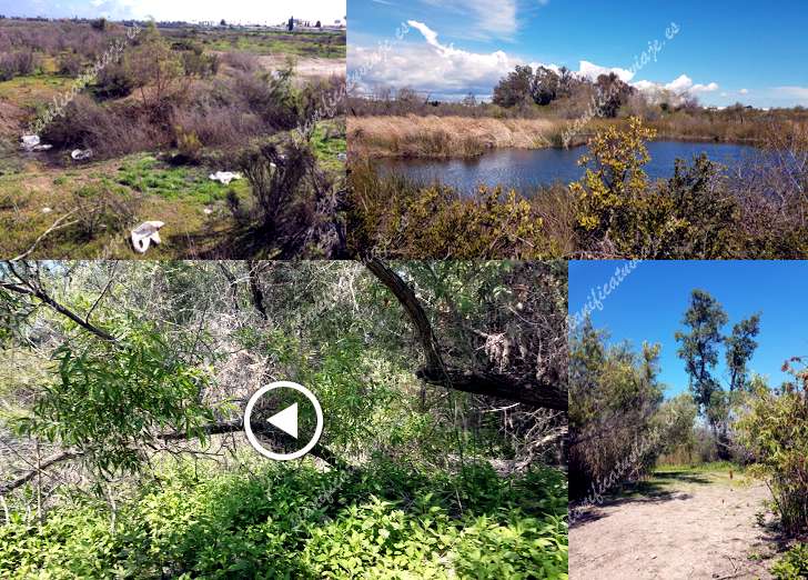 Otay Valley Regional Park de San Diego | Horario, Mapa y entradas
