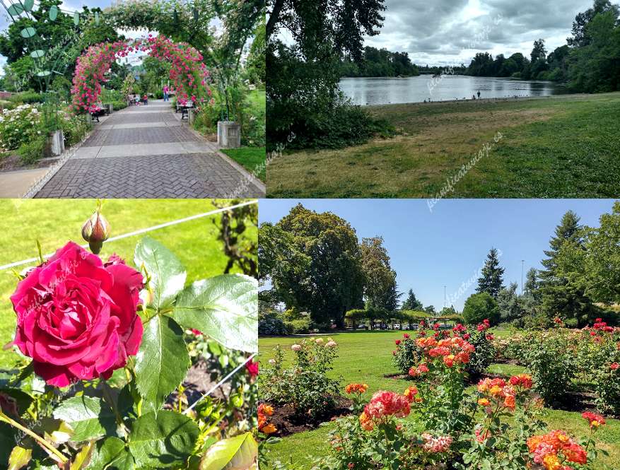 Owen Rose Garden de Eugene | Horario, Mapa y entradas