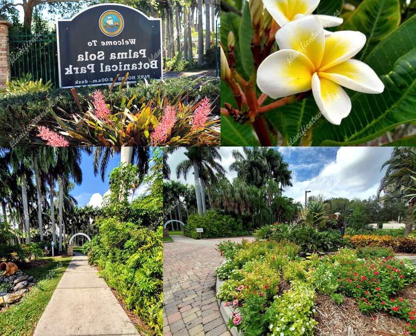 Palm Alone Botanical Park de Bradenton | Horario, Mapa y entradas