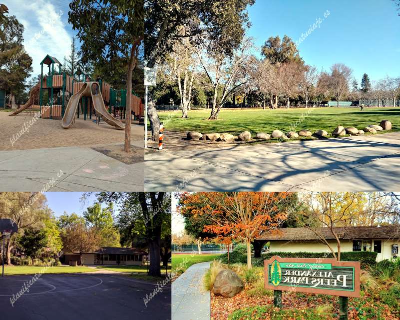Peers Park de Palo Alto | Horario, Mapa y entradas