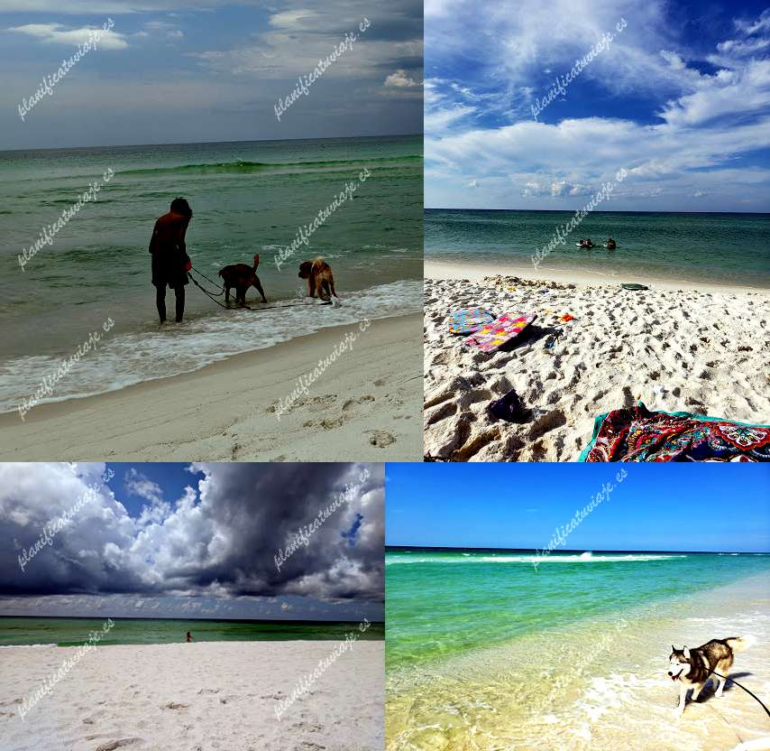 Pensacola Dog Beach de Pensacola Beach | Horario, Mapa y entradas 8