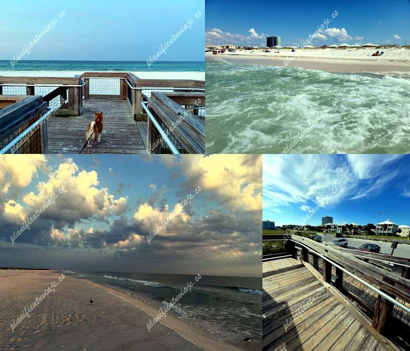 Pensacola Dog Beach West de Gulf Breeze | Horario, Mapa y entradas