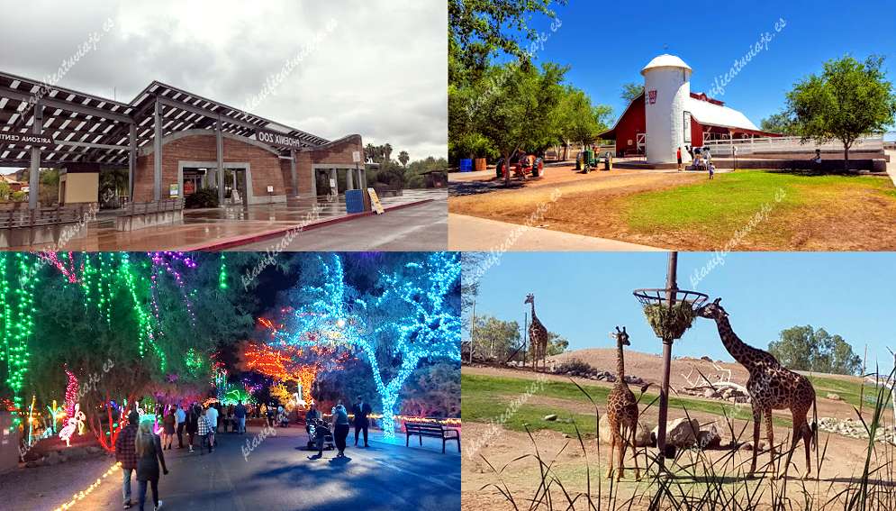 Phoenix Zoo de Phoenix | Horario, Mapa y entradas