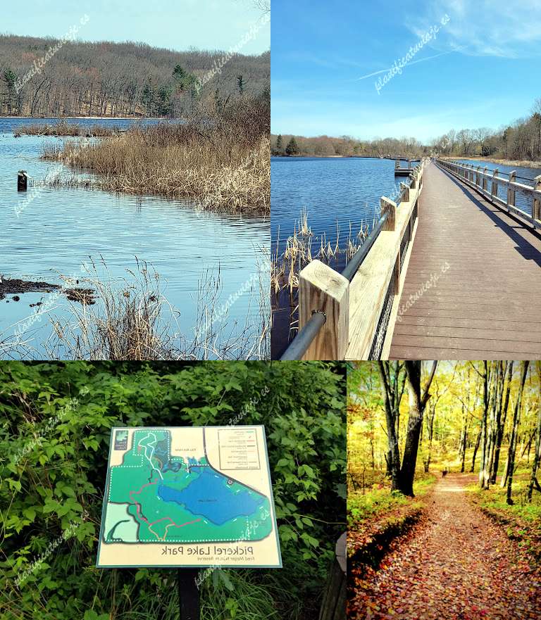 Pickerel Lake Park - Fred Meijer Nature Preserve de Rockford | Horario, Mapa y entradas