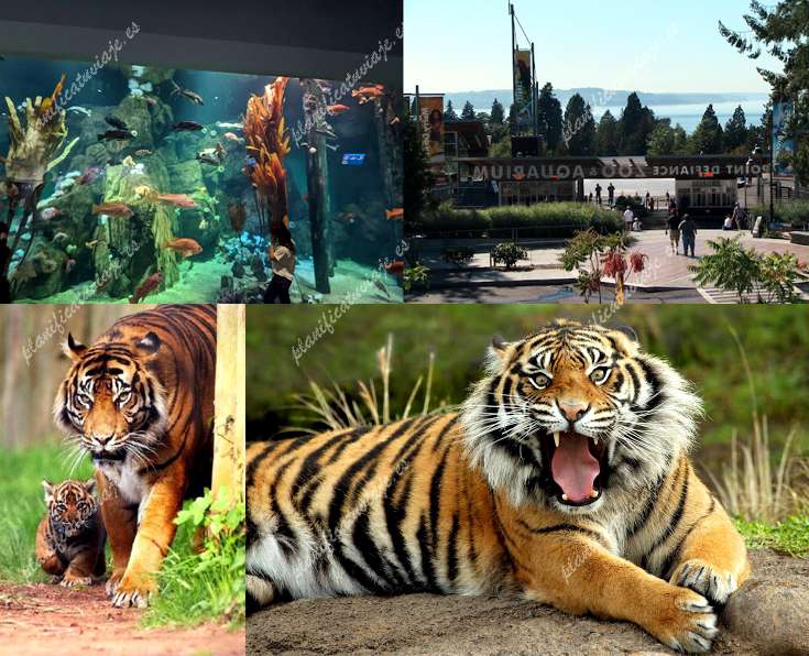 Point Defiance Zoo & Aquarium de Tacoma | Horario, Mapa y entradas