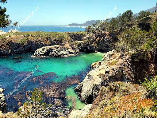 Point Lobos State Natural Reserve de Carmel-By-The-Sea | Horario, Mapa y entradas