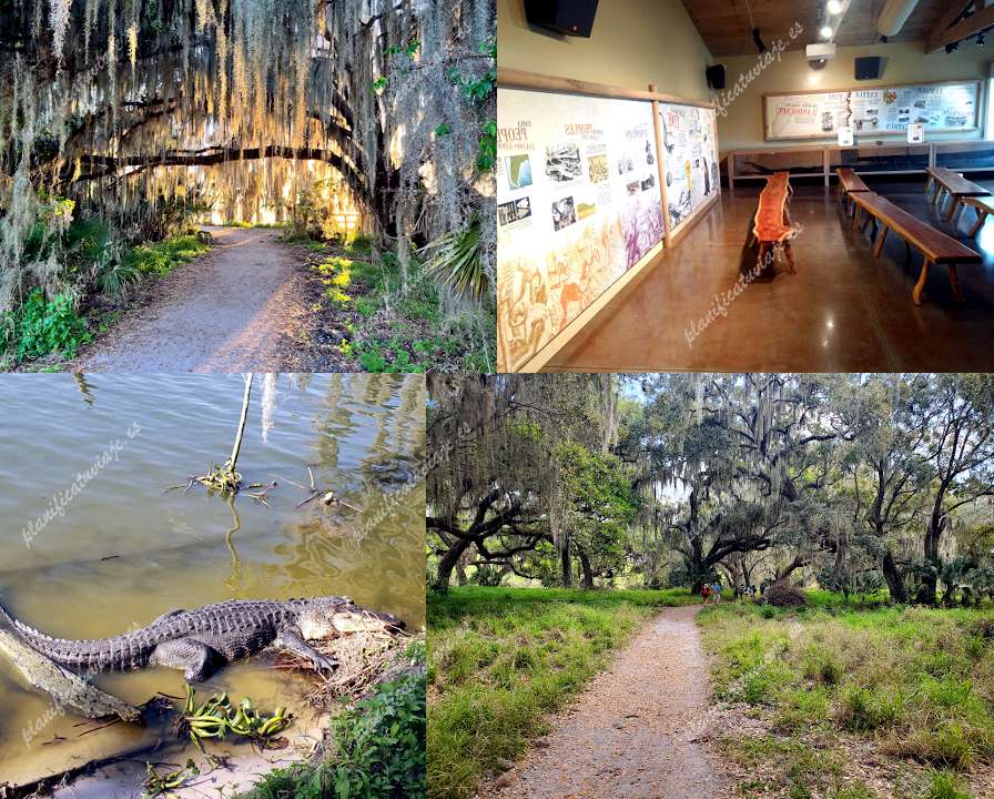 Polk's Nature Discovery Center de Lakeland | Horario, Mapa y entradas