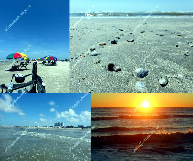 Porretto Beach de Galveston | Horario, Mapa y entradas
