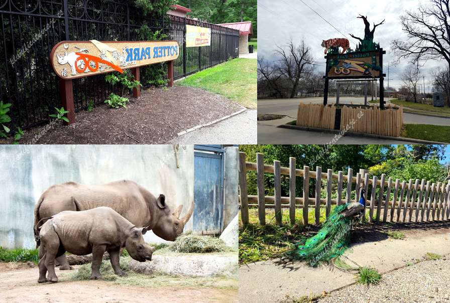 Potter Park Zoo de Lansing | Horario, Mapa y entradas